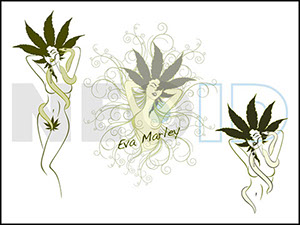 Diseño exclusivo vinilo para eventos